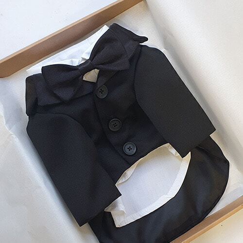 SUIT SET (Jacket + shirt + tie set)